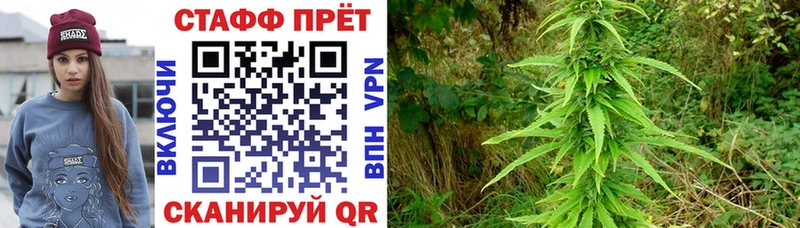 Как найти наркотики Новый Уренгой Бошки Шишки  Alpha-PVP  Гашиш  Меф  Кокаин 