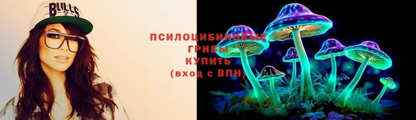 ALPHA PVP Богородицк