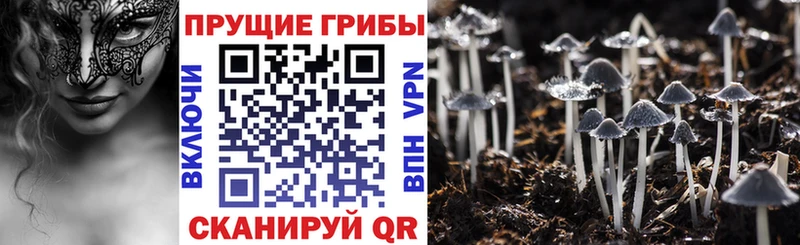 Галлюциногенные грибы мухоморы  Новый Уренгой 